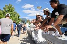Orientation leaders standing on a wall with white pom poms cheering on incoming Class of 2026